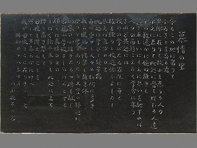 003.jpg