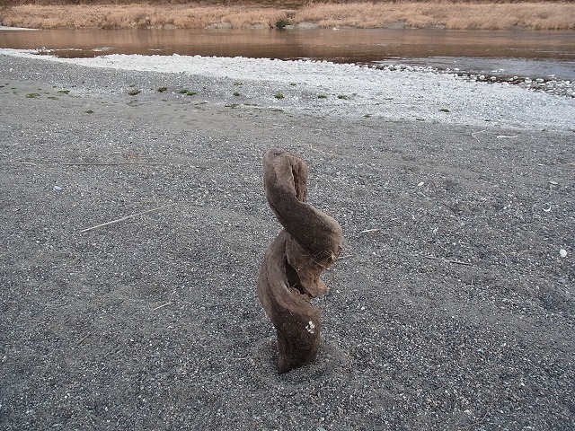 004.jpg