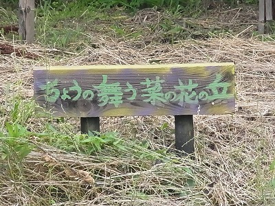 005.jpg