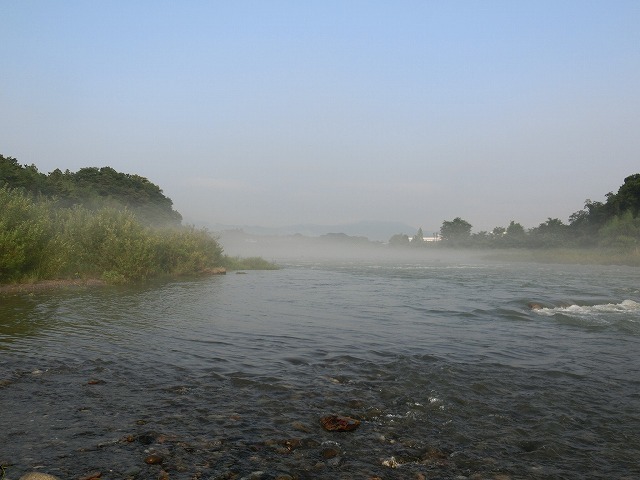 005.jpg
