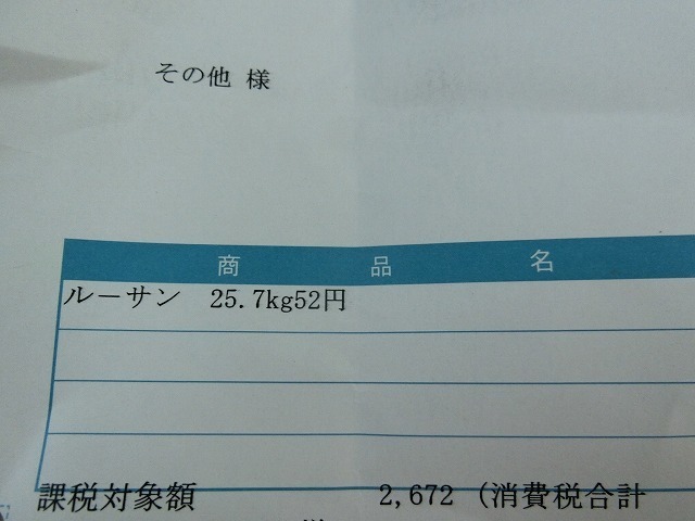 006.jpg