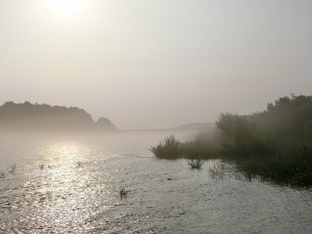 006.jpg
