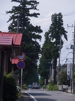 009.jpg