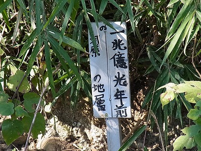 009.jpg