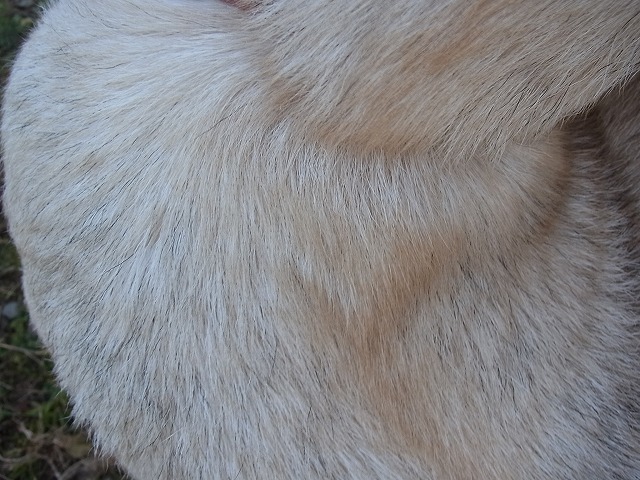 009.jpg