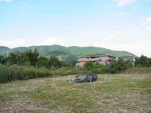 009.jpg