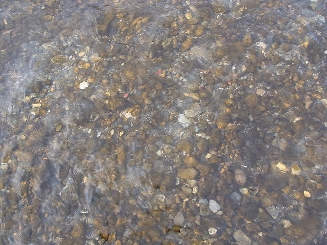 009.jpg
