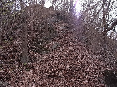 009.jpg