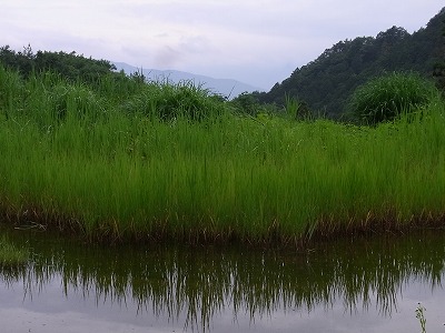 01.jpg