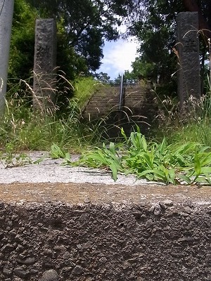01.jpg