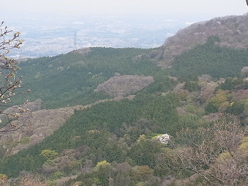 010.jpg