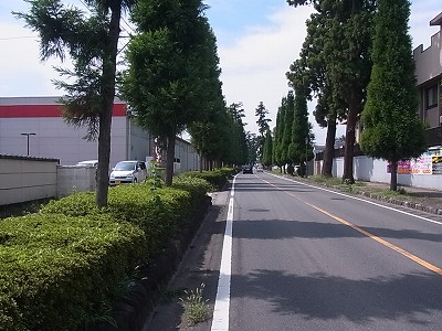 010.jpg