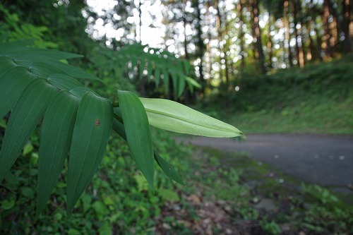 010.jpg