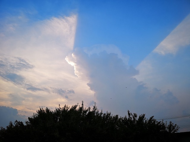 010.jpg