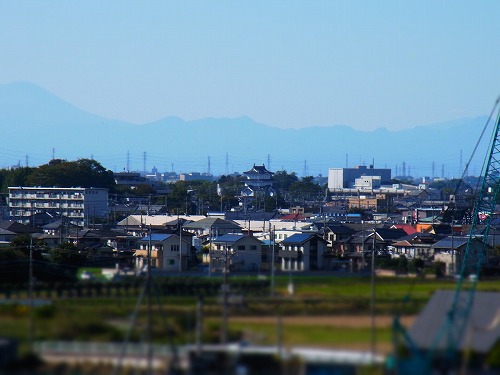 010.jpg