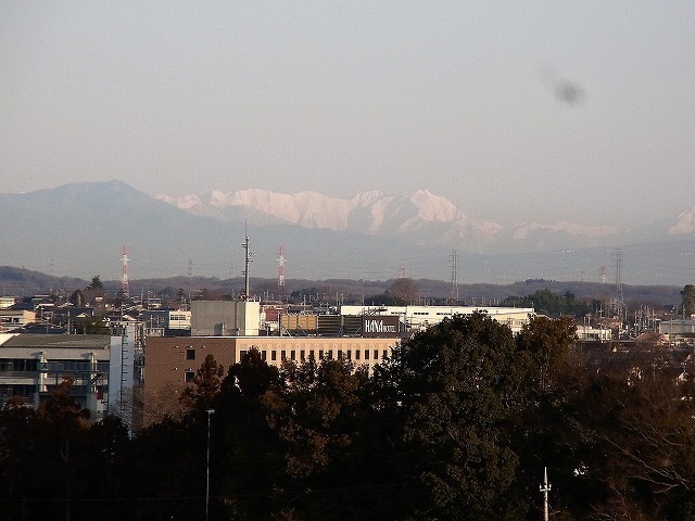 010.jpg