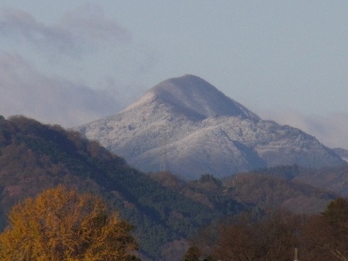 02.jpg