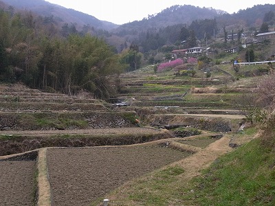 02.jpg