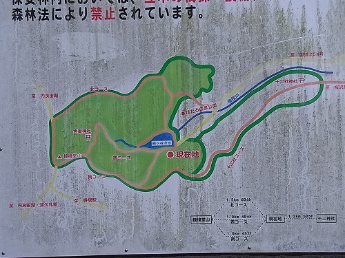020.jpg