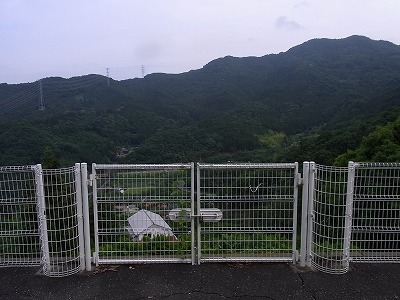 03.jpg