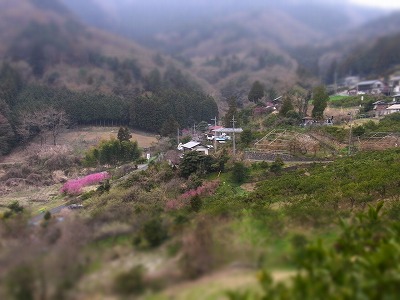 04.jpg