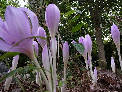 04.jpg
