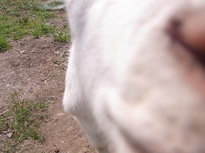 04.jpg