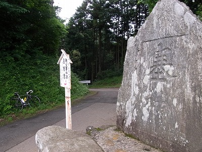 05.jpg