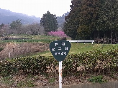 05.jpg