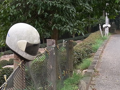 06.jpg
