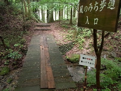 06.jpg