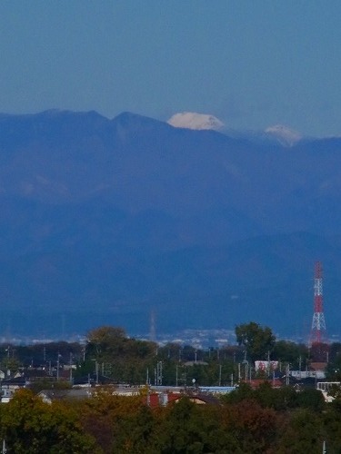 07.jpg