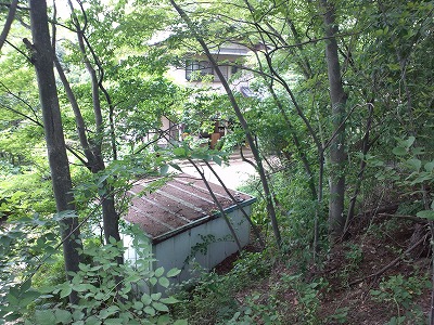 08.jpg