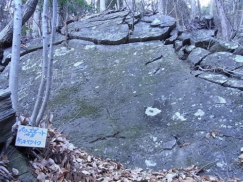 09.jpg