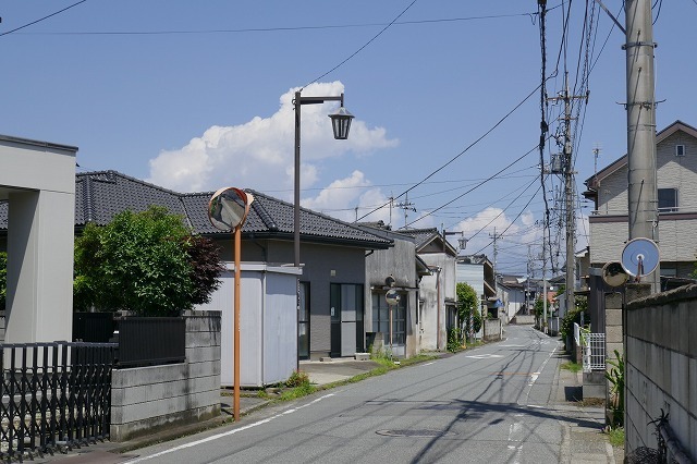 15.jpg