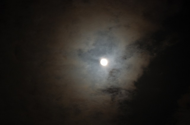 20180131-_IGP5072.jpg