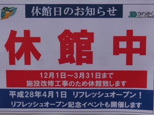 CIMG3511.jpg
