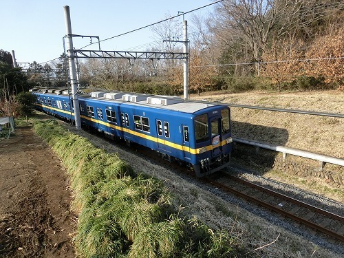 CIMG4767.jpg