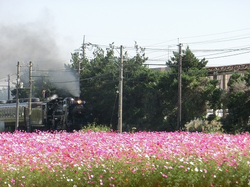 CIMG6812.jpg