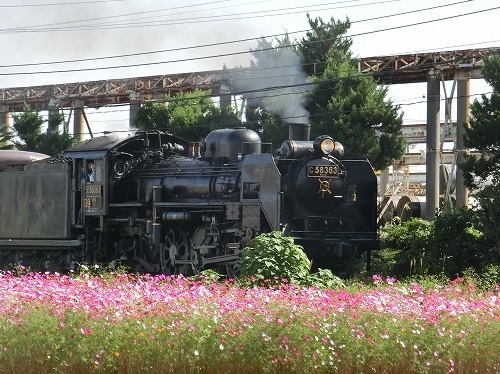 CIMG6816.jpg