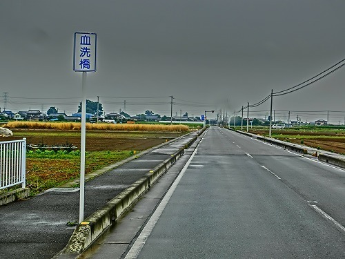 CIMG8452.jpg