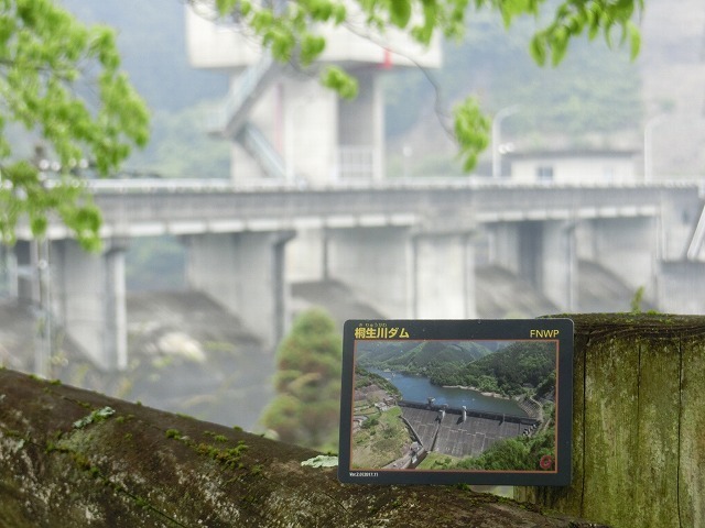 CIMG8471.jpg