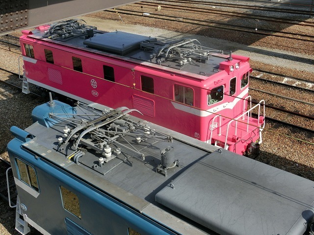 CIMG8793.jpg