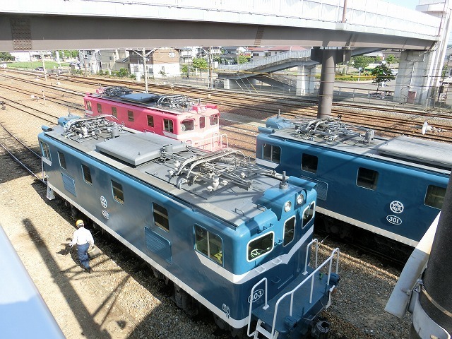 CIMG8795.jpg