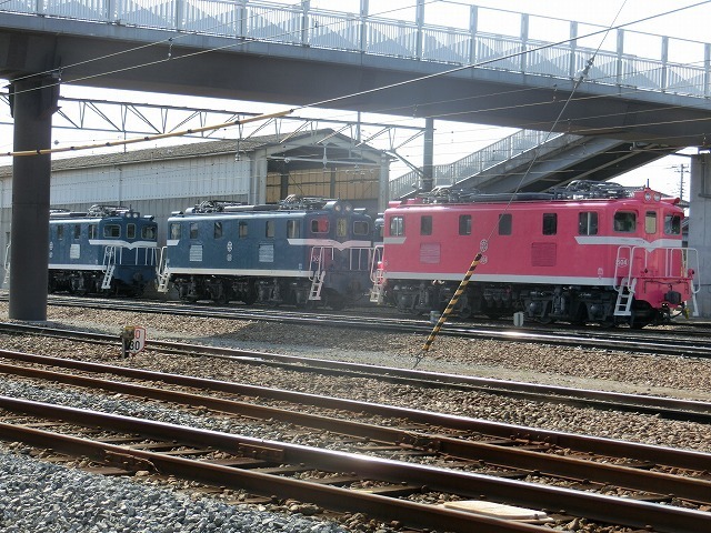 CIMG8798.jpg