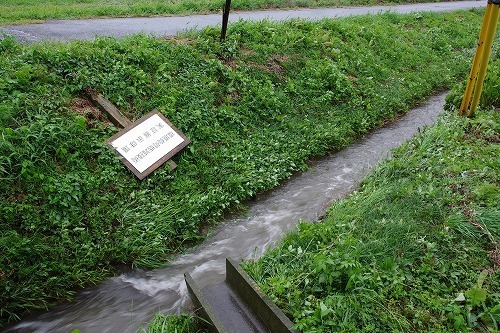 IMGP0933.jpg