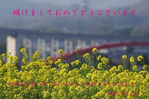 IMGP2536-2.jpg