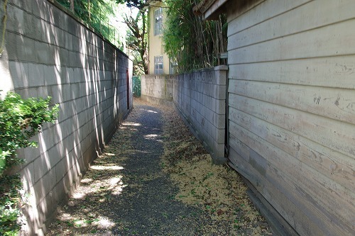 IMGP2940.jpg
