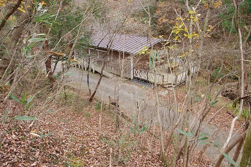 IMGP5424.jpg