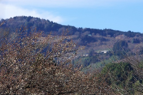 IMGP5648.jpg